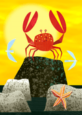 Crab on Rocks Digital File
